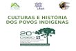 CULTURAS E HIST“RIA DOS POVOS INDGENAS. Prof Dr Neide Borges Pedrosa - UFTM neibpedrosa@gmail.com