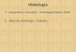 Histologia 1 - Junqueira e Carneiro - Histologia Básica 10ed 2 - Atlas de Histologia - Sobotta