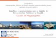 Desafios e oportunidades para a Gestão de Investimentos Públicos no Brasil Conferência Investimentos Públicos no Brasil: desafios e oportunidades para