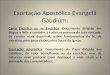Exortação Apostólica Evangelii Gaudium: Carta Encíclica ou só Encíclica: Documento dirigido aos Bispos e fiéis e também a todas as pessoas de boa vontade,