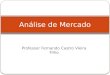 Professor Fernando Castro Vieira Filho Análise de Mercado