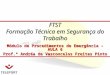 FTST Formação Técnica em Segurança do Trabalho Módulo de Procedimentos de Emergência – AULA 6 Prof.ª Andréa de Vasconcelos Freitas Pinto