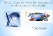* G.11 – Cap.12 - Energia, transporte e meios de comunicações