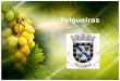 Introdução O Município de Felgueiras, localizado na parte superior do Vale do Sousa, abrange cerca de 116 Km2, repartidos por 32 freguesias. O património