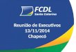Reunião de Executivos 13/11/2014 Chapecó. Processo Financeiro Contas a Pagar Contas a Receber ou Faturamento Acompanhamento