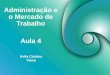 Administração e o Mercado de Trabalho Kelly Cristina Vieira Aula 4