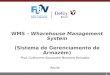 1 Prof. Guilherme Alexandre Monteiro Reinaldo Recife WMS – Wharehouse Management System (Sistema de Gerenciamento de Armazém)