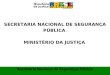 SECRETARIA NACIONAL DE SEGURANÇA PÚBLICA MINISTÉRIO DA JUSTIÇA Secretaria Nacional de Segurança Pública Ministério da Justiça