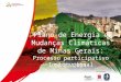 14/11/2014 Plano de Energia e Mudanças Climáticas de Minas Gerais: Processo participativo Institucional