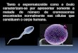Tanto o espermatozoide como o óvulo caracterizam-se por apresentar somente a metade do número de cromossomos encontrados normalmente nas células que constituem