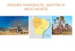 REGIÃO NORDESTE: SERTÃO E MEIO NORTE. → Sertão 60% do território nordestino e 48% da população local; Clima semi árido; Caatinga; Predomínio de rios temporários;