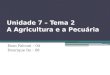 Unidade 7 – Tema 2 A Agricultura e a Pecuária Enzo Falconi – 04 Henrique Ito - 08