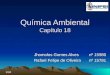 Química Ambiental Capítulo 18 Jhomolos Gomes Alvesnº 15980 Rafael Felipe de Oliveiranº 15781 1/34