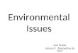 Environmental Issues Ana Drulla Juliano P. Abelardino da Silva Thamy Soavinsky