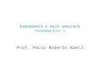 ENGENHARIA E MEIO AMBIENTE Fundamentos 1 Prof. Paulo Roberto Koetz