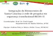 Integração do Hemocentro de Santa Catarina à rede de pesquisa em segurança transfusional REDS-II Coordenador: Prof. Dr. Emil Kupek Departamento de Saúde