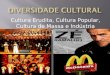 Cultura Erudita, Cultura Popular, Cultura de Massa e Indústria Cultural