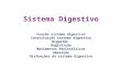 Sistema Digestivo Função sistema digestivo Constituição sistema digestivo Digestão Deglutição Movimentos Peristálticos Absorção Disfunções do sistema digestivo