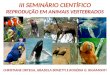 III SEMINÁRIO CIENTÍFICO REPRODUÇÃO EM ANIMAIS VERTEBRADOS CHRISTIANE ORTEGA, GRAZIELA BONETTI E ROGÉRIA G. RIGAMONTI