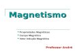 Magnetismo Propriedades Magnéticas Propriedades Magnéticas Campo Magnético Campo Magnético Vetor Indução Magnética Vetor Indução Magnética Professor André