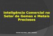 Inteligência Comercial no Setor de Gemas e Metais Preciosos Reunião Grupo Moda – APEX - 06/04/2010