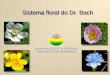 Sistema floral do Dr. Bach. Ponto de partida Dr. Edward Bach (1886-1936) é o criador do sistema floral com o seu nome, que propõe: 1)Bases filosóficas