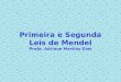 Primeira e Segunda Leis de Mendel Profa. Adriane Martins Dias
