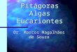 Pitágoras Algas Eucariontes Dr. Marcos Magalhães de Souza