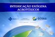INTOXICAÇÃO EXÓGENA AGROTÓXICOS. Intoxicação Exógena Agrotóxicos Paulo Cézar Ribeiro Gomes Júnior Médico - SES/GO