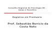 Conselho Regional de Psicologia 09 – Goias e Tocantins Registros em Prontuário Prof. Sebastião Benício da Costa Neto