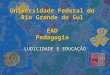 Universidade Federal do Rio Grande do Sul EAD Pedagogia LUDICIDADE E EDUCAÇÃO