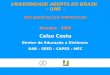 UNIVERSIDADE ABERTA DO BRASIL – UAB - IMPLEMENTAÇÃO E PERPECTIVAS Outubro – 2008 Celso Costa Diretor de Educação a Distância UAB – SEED - CAPES - MEC