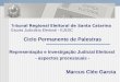 Ciclo Permanente de Palestras Representação e Investigação Judicial Eleitoral - aspectos processuais - Marcus Cléo Garcia Tribu nal Regional Eleitoral