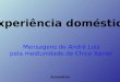 Experiência doméstica Mensagens de André Luiz pela mediunidade de Chico Xavier Automático