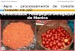 Djabrú João Manuel 20 Novembro de 2014  Agro - processamento de tomate (tomate em pó) Instituição coordenadora: Universidade Pedagógica-Delegação de Manica