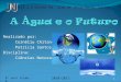 Realizado por: Cornéliu Chitanu Patrícia Santos Disciplina: Ciências Naturais Escola 2,3 Ciclos Dr. José de Jesus Neves Júnior 2010/2011 1 8º ano/ Turma: