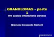 GRANULOMAS - parte 1 Um padrão inflamatório distinto Graziela Crescente Rastelli grazijc@hotmail.com