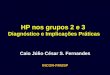 HP nos grupos 2 e 3 Diagnóstico e Implicações Práticas Caio Júlio César S. Fernandes INCOR-FMUSP