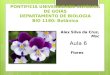 PONTIFÍCIA UNIVERSIDADE CATÓLICA DE GOIÁS DEPARTAMENTO DE BIOLOGIA BIO 1180: Botânica Alex Silva da Cruz, Msc Flores