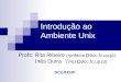 Introdução ao Ambiente Unix Profs: Rita Ribeiro (rpribeiro@dcc.fc.up.pt) Inês Dutra (ines@dcc.fc.up.pt) DCC/FCUP