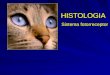 HISTOLOGIA HISTOLOGIA Sistema fotorreceptor Sistema fotorreceptor