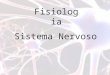 Fisiologia Sistema Nervoso Instruções 1- Abra a apresentação com o F5 do teclado. 2- Leia a pergunta e clique com o mouse na resposta que julga ser a