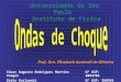 Universidade de São Paulo Instituto de Física Prof. Dra. Elisabeth Andreoli de Oliveira César Augusto Rodrigues Martins ChagasNº USP: 8084704 Didio KozlowskiNº