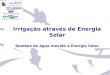 Irrigação através de Energia Solar Bombas de água movido á Energia Solar