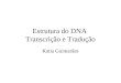 Estrutura do DNA Transcrição e Tradução Katia Guimarães