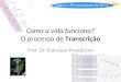 Como a vida funciona? O processo de Transcrição Prof. Dr. Francisco Prosdocimi