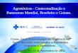 Agrotóxicos - Contextualização e Panoramas Mundial, Brasileiro e Goiano. Curso: Atuação das Equipes de Vigilância em Saúde nas ações relacionadas a Populações
