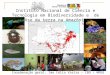 16,3% 653 mil km2 Instituto Nacional de Ciência e Tecnologia em Biodiversidade e de Uso da terra na Amazônia Coordenação geral: Ima Célia Vieira – CBO