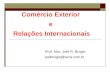 Comércio Exterior e Relações Internacionais Prof. Msc. Joel R. Brogio joelbrogio@terra.com.br