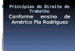 Princípios do Direito do Trabalho Conforme ensino de Américo Pla Rodriguez